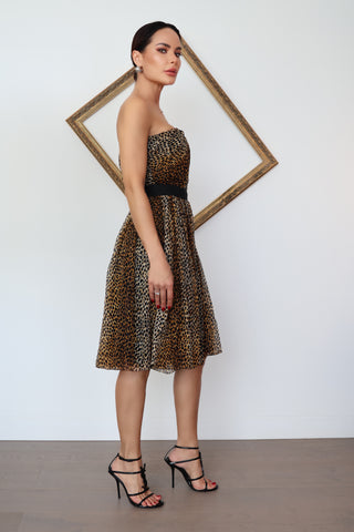 Dolce & Gabbana leopard silk chiffon strapless dress size IT 40, very good condition.