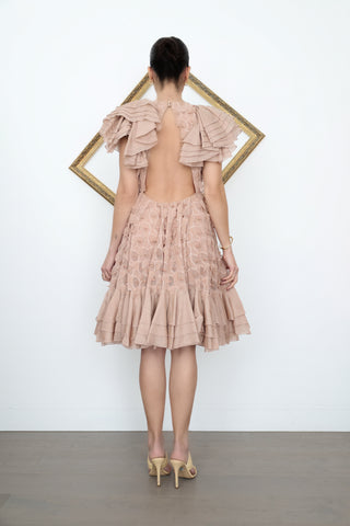 Zimmermann Flower Details Flounce Dress – Nude, Size 0