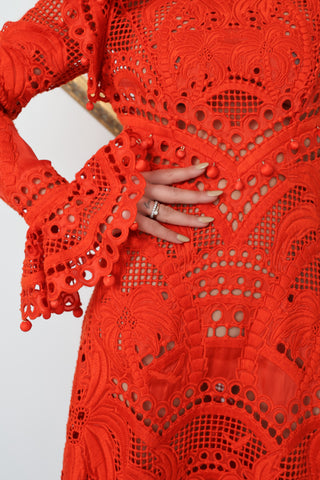 Brightside Palm red openwork-lace silk organza gown with high neck and dramatic sleeves, shown on model.