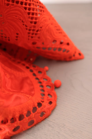 Brightside Palm red openwork-lace silk organza gown with high neck and dramatic sleeves, shown on model.